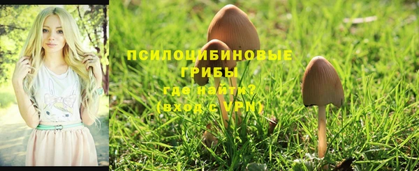 молекула духа Заволжье